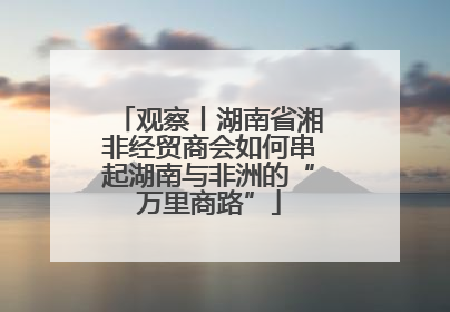 观察丨湖南省湘非经贸商会如何串起湖南与非洲的“万里商路”