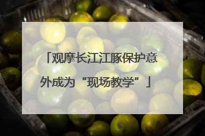 观摩长江江豚保护意外成为“现场教学”