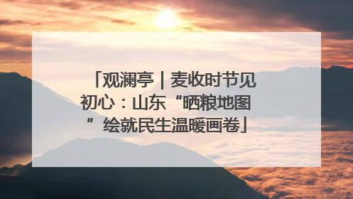 观澜亭｜麦收时节见初心：山东“晒粮地图”绘就民生温暖画卷