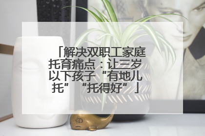 解决双职工家庭托育痛点：让三岁以下孩子“有地儿托”“托得好”