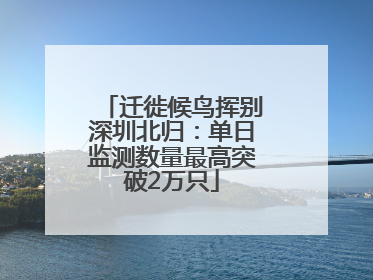 迁徙候鸟挥别深圳北归：单日监测数量最高突破2万只