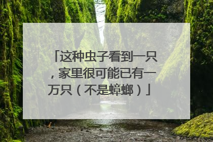 这种虫子看到一只，家里很可能已有一万只（不是蟑螂）