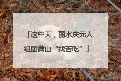 这些天，丽水庆元人组团满山“找苦吃”
