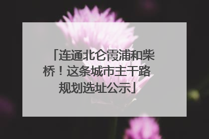 连通北仑霞浦和柴桥！这条城市主干路规划选址公示