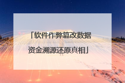 软件作弊篡改数据 资金溯源还原真相