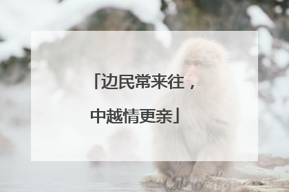 边民常来往，中越情更亲