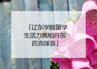 辽东学院留学生活力亮相丹东匹克球赛