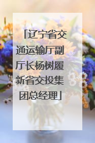 辽宁省交通运输厅副厅长杨树履新省交投集团总经理