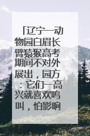 辽宁一动物园白眉长臂猿猴高考期间不对外展出，园方：它们一高兴就喜欢鸣叫，怕影响考试
