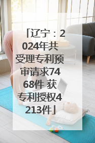 辽宁：2024年共受理专利预审请求7468件 获专利授权4213件