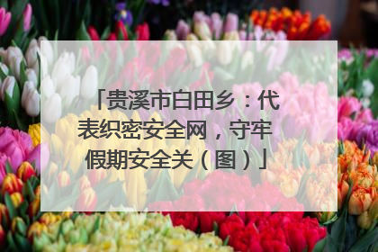 贵溪市白田乡：代表织密安全网，守牢假期安全关（图）