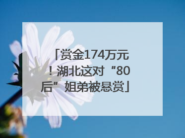 赏金174万元！湖北这对“80后”姐弟被悬赏