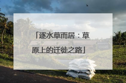 逐水草而居：草原上的迁徙之路