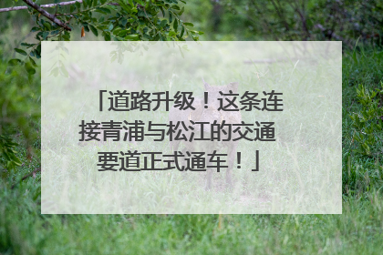 道路升级！这条连接青浦与松江的交通要道正式通车！
