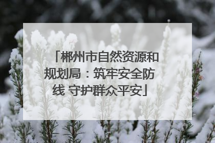 郴州市自然资源和规划局：筑牢安全防线 守护群众平安