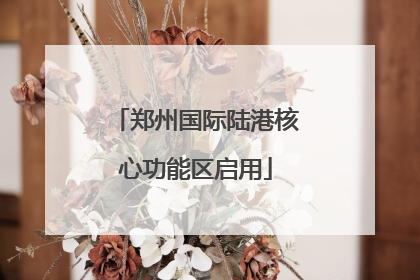 郑州国际陆港核心功能区启用