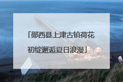 郧西县上津古镇荷花初绽邂逅夏日浪漫