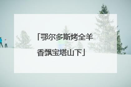 鄂尔多斯烤全羊香飘宝塔山下