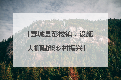 鄄城县彭楼镇：设施大棚赋能乡村振兴