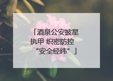 酒泉公安披星执甲 织密防控“安全经纬”