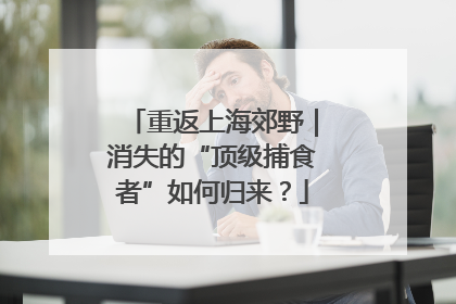 重返上海郊野｜消失的“顶级捕食者”如何归来？