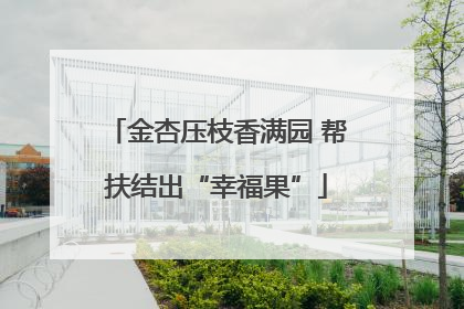 金杏压枝香满园 帮扶结出“幸福果”