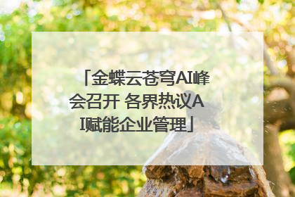 金蝶云苍穹AI峰会召开 各界热议AI赋能企业管理