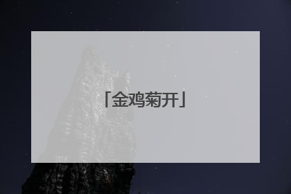金鸡菊开