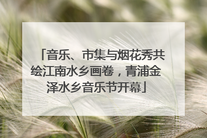 音乐、市集与烟花秀共绘江南水乡画卷，青浦金泽水乡音乐节开幕
