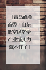 青岛峰会首秀！山东低空经济全产业链实力藏不住了