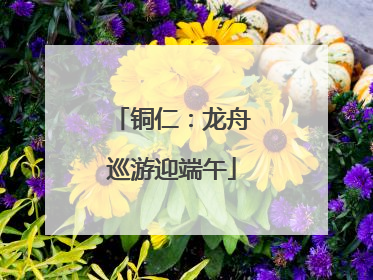 铜仁：龙舟巡游迎端午
