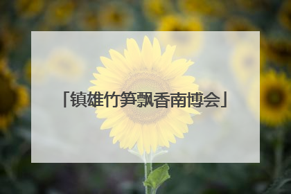 镇雄竹笋飘香南博会