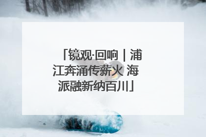 镜观·回响｜浦江奔涌传薪火 海派融新纳百川