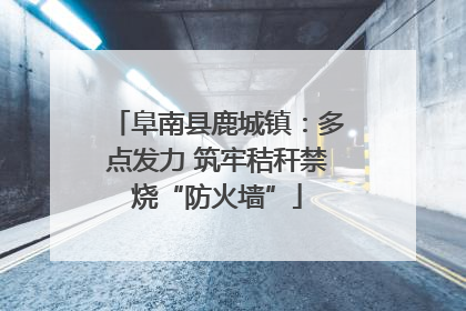 阜南县鹿城镇：多点发力 筑牢秸秆禁烧“防火墙”