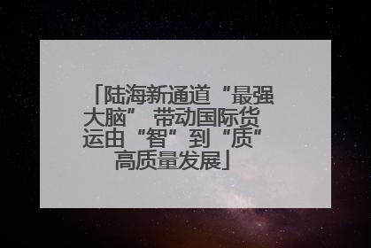 陆海新通道“最强大脑” 带动国际货运由“智”到“质”高质量发展