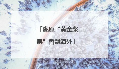 陇原“黄金浆果”香飘海外