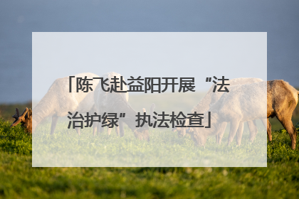 陈飞赴益阳开展“法治护绿”执法检查