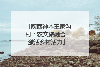 陕西神木王家沟村：农文旅融合 激活乡村活力