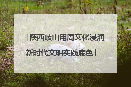 陕西岐山用周文化浸润新时代文明实践底色