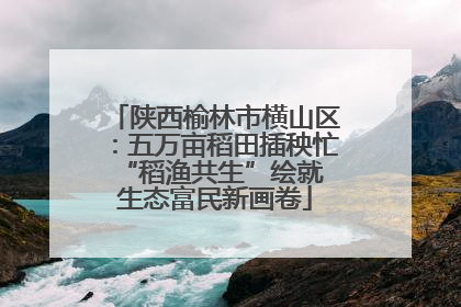 陕西榆林市横山区：五万亩稻田插秧忙 “稻渔共生”绘就生态富民新画卷