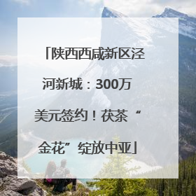 陕西西咸新区泾河新城：300万美元签约！茯茶“金花”绽放中亚