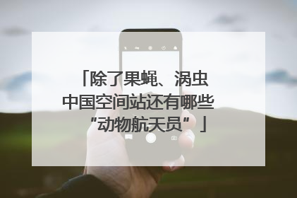 除了果蝇、涡虫 中国空间站还有哪些“动物航天员”