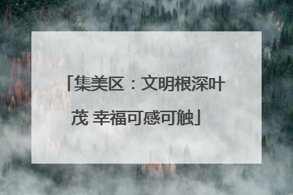 集美区：文明根深叶茂 幸福可感可触