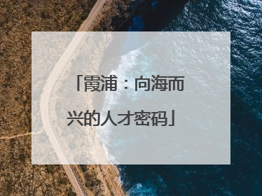 霞浦：向海而兴的人才密码