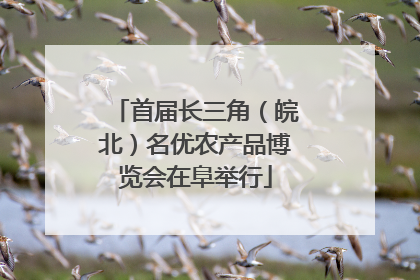 首届长三角（皖北）名优农产品博览会在阜举行