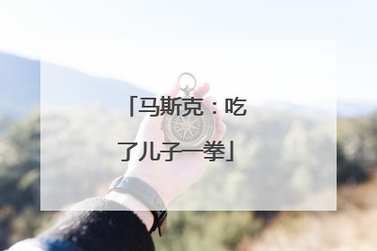 马斯克：吃了儿子一拳