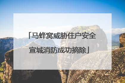 马蜂窝威胁住户安全 宣城消防成功摘除