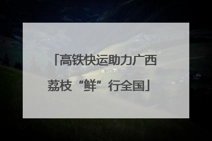 高铁快运助力广西荔枝“鲜”行全国