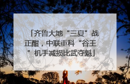 齐鲁大地“三夏”战正酣，中联重科“谷王”机手减损比武夺魁