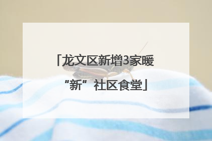 龙文区新增3家暖“新”社区食堂